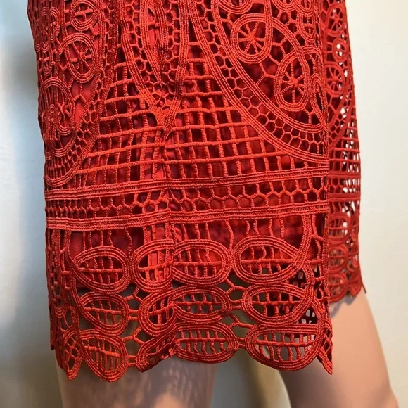 Lovers and Friends Caspian Red Lace Shift Dress - Picture 7 of 11